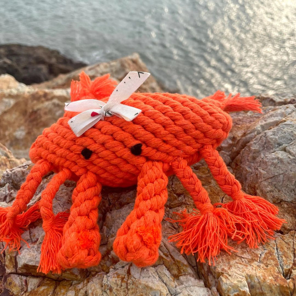 The Crab Dog Toy
