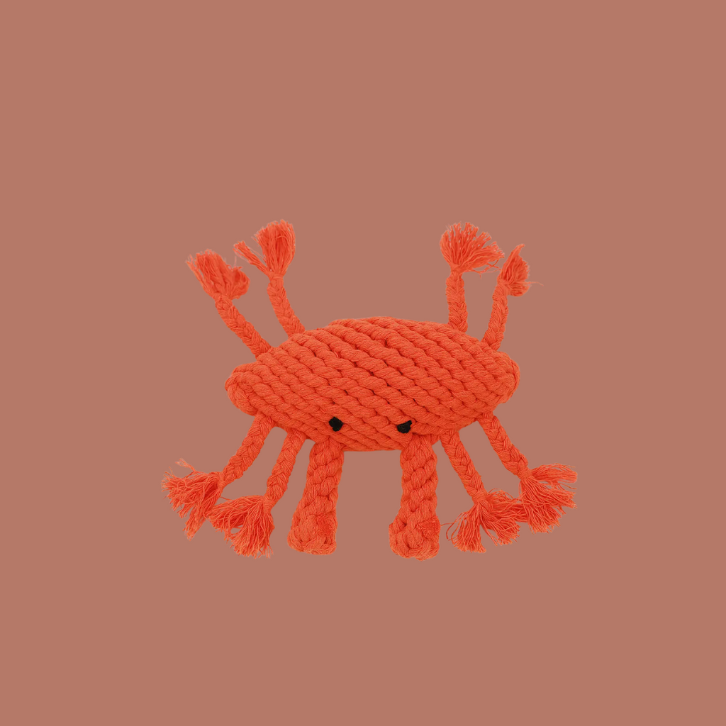 The Crab Dog Toy