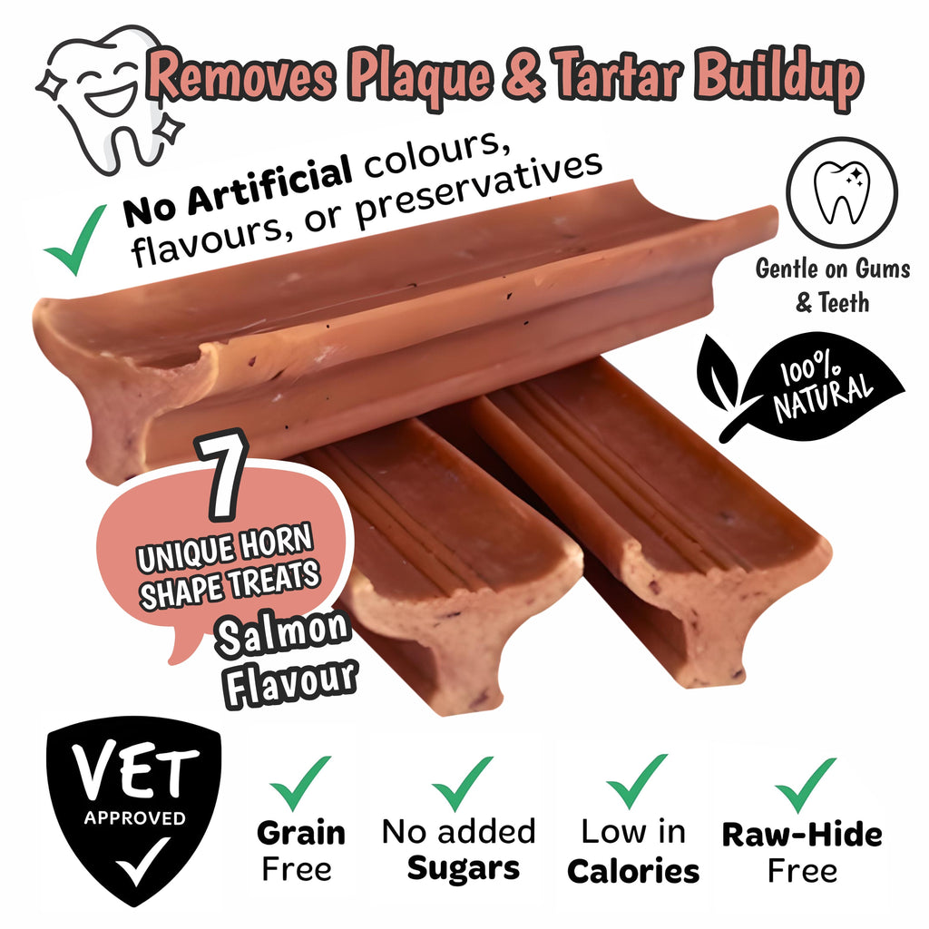 Gently Dently Salmon Dental Treats for Dogs (175g)